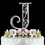 Elegance by Carbonneau J-Roman Romanesque ~ Swarovski Crystal Wedding Cake Topper ~ Letter J