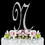 Elegance by Carbonneau N-Completely-Covered Completely Covered ~ Swarovski Crystal Wedding Cake Topper ~ Letter N