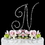 Elegance by Carbonneau N-Renaissance-Silver Renaissance ~ Swarovski Crystal Wedding Cake Topper ~ Silver Letter N