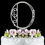 Elegance by Carbonneau O-Roman Romanesque ~ Swarovski Crystal Wedding Cake Topper ~ Letter O