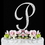 Elegance by Carbonneau P-Sparkle-Silver Sparkle ~ Swarovski Crystal Wedding Cake Topper ~ Silver Letter P