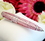 Elegance by Carbonneau Pen-3995-Pink Crystal Pink Pen