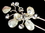 Elegance by Carbonneau Pin-105 Keshi Flower Rhinestone Accent Pin-105