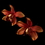 Elegance by Carbonneau Pin-907-Red Red Dancing Orchid Flower Pin 907 (Set of 2)