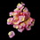 Elegance by Carbonneau Two Tone Pink With Yellow Rose Petals - Color 24 (100 Petals In A Bag)