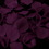 Elegance by Carbonneau Rose-Petals-Eggplant-118 Eggplant Plum Rose Petals (100 Count) #118