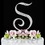Elegance by Carbonneau S-Sparkle-Silver Sparkle ~ Swarovski Crystal Wedding Cake Topper ~ Silver Letter S