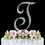 Elegance by Carbonneau T-Completely-Covered Completely Covered ~ Swarovski Crystal Wedding Cake Topper ~ Letter T