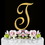 Elegance by Carbonneau T-Sparkle-Gold Sparkle ~ Swarovski Crystal Wedding Cake Topper ~ Gold Letter T