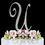 Elegance by Carbonneau U-Completely-Covered Completely Covered ~ Swarovski Crystal Wedding Cake Topper ~ Letter U