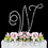 Elegance by Carbonneau W-Renaissance-Silver Renaissance ~ Swarovski Crystal Wedding Cake Topper ~ Silver Letter W