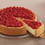 Wilton 2105-982 Recipe Right Non-Stick Springform Cake Pan, 10-Inch