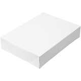 Wilton 415-0723 19 x 14 x 4-Inch White Cardboard Sheet Cake Boxes, 2-Count