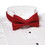 Wolfmark SCPA-190 Solid Color Bow Tie - Adjustable Band