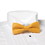 Wolfmark SCPA-160 Solid Color Bow Tie - Clip-On