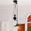Warehouse of Tiffany CY-DD-173-2 Tehno 1-Light Black Pendant Edison Bulb Included