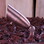 YardBright GBT6007CR Mr11 Mini Copper Spot Light In Raw Copper