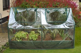 Zenport SH3212A-BTP Garden Raised Bed and Cold Frame Greenhouse Cloche