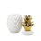 Accent Plus 10018753 13 Gold Topped Pineapple Jar