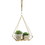 Summerfield Terrace 10018888 Hanging Plant Holder With Rectangle Base