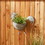 Accent Plus 4506376 Rooster Galvanized Wall Planter