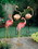 Summerfield Terrace 57070078 Flamboyant Flamingo Garden Stakes