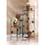 Summerfield Terrace 34764 Ivy-Design Staircase Plant Stand
