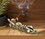 Dragon Crest 37078 Skeleton Incense Burner Holder