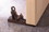 Accent Plus 10015650 Cat Door Stopper