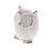 Accent Plus 10015684 Distressed White Owl Figurine