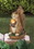 Summerfield Terrace 10016219 Squirrel Solar Statue