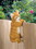 Summerfield Terrace 10016383 Climbing Cat Amber Decor