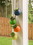 Summerfield Terrace 10016997 Fiesta Dangling Pots