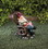 Summerfield Terrace 10018200 Solar Red Bird Rocking Chair Gnome